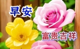 9月14日精选早安短语祝福大全，送你一句祝福，愿你心情愉快