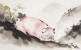 71年属猪的人，啥叫金猪命？看看你的晚年过得如何