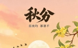 秋分：唯美的句子