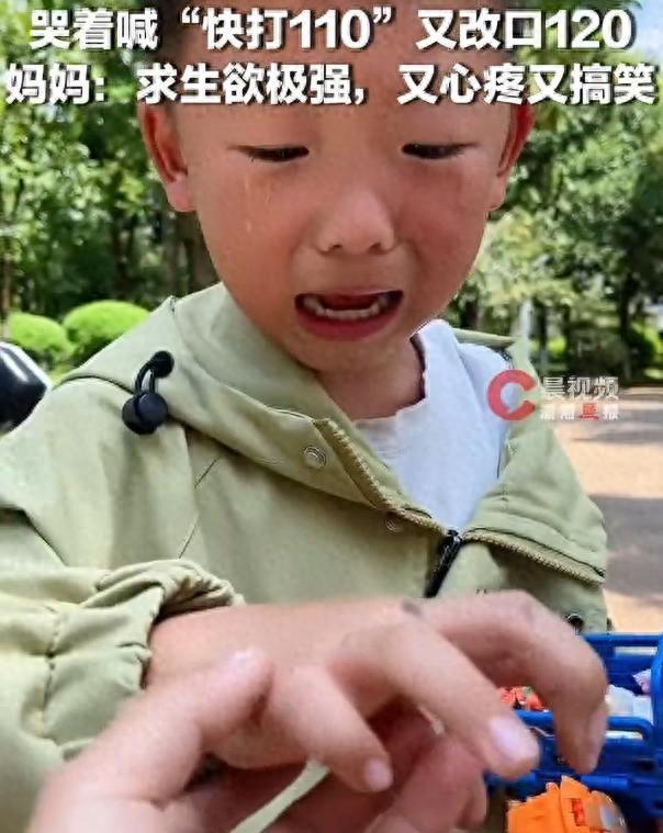 笑死！6岁男孩摘柿子被洋辣子蜇伤，哭着喊“快打110”又改口120