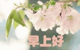 与其相见，不如怀念，与其纠缠，不如随缘，早安