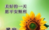 今天早上好温馨祝福短语，毎一天事一件，祝愿您平安
