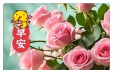 早上好问候简短一句暖心话，祝福伴随你每一天，愿好运常在