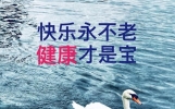 10月2日早上好最新祝福语短语，愿时光不老，我们安然无恙