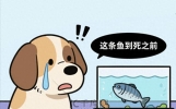 十个幽默冷笑话，专治你的不开心！