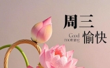 10月7日早安温馨祝福短语，每天事一件，祝愿您平安