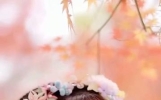一份藏在心底的思念，魂牵梦绕皆是你