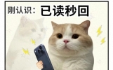 很哇塞的幽默搞笑句子，开心笑不停