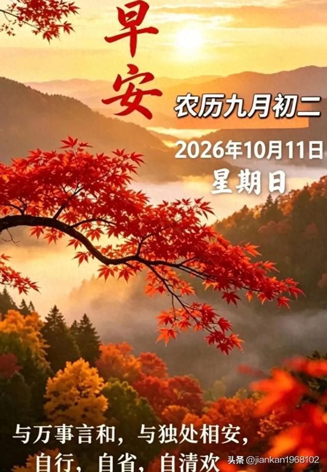 人生感悟金句，句句经典，值得收藏。