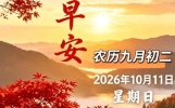 人生感悟金句，句句经典，值得收藏。