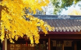 爱上这些星座，是幸运也是劫难：幸得识卿桃花面，从此阡陌多暖春