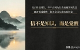 悟道：知道是学问 悟到是境界——从脑子里的知识，到骨子里的本能